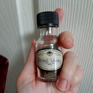 Dried Usnea decorative only